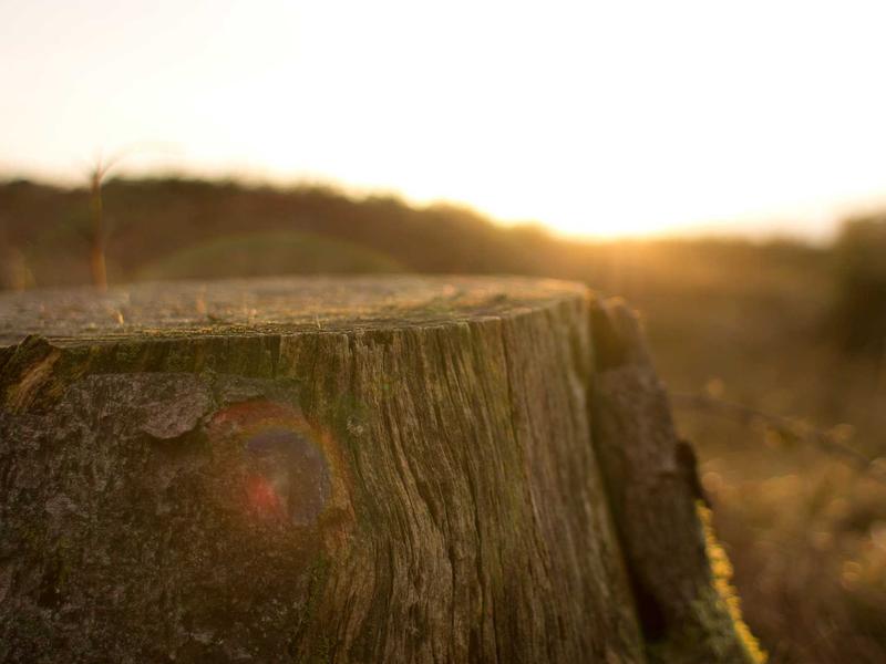 sudoku master screenshot 3